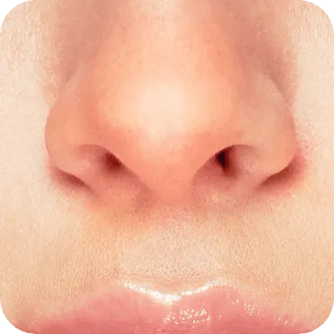  Nose Clean-Up